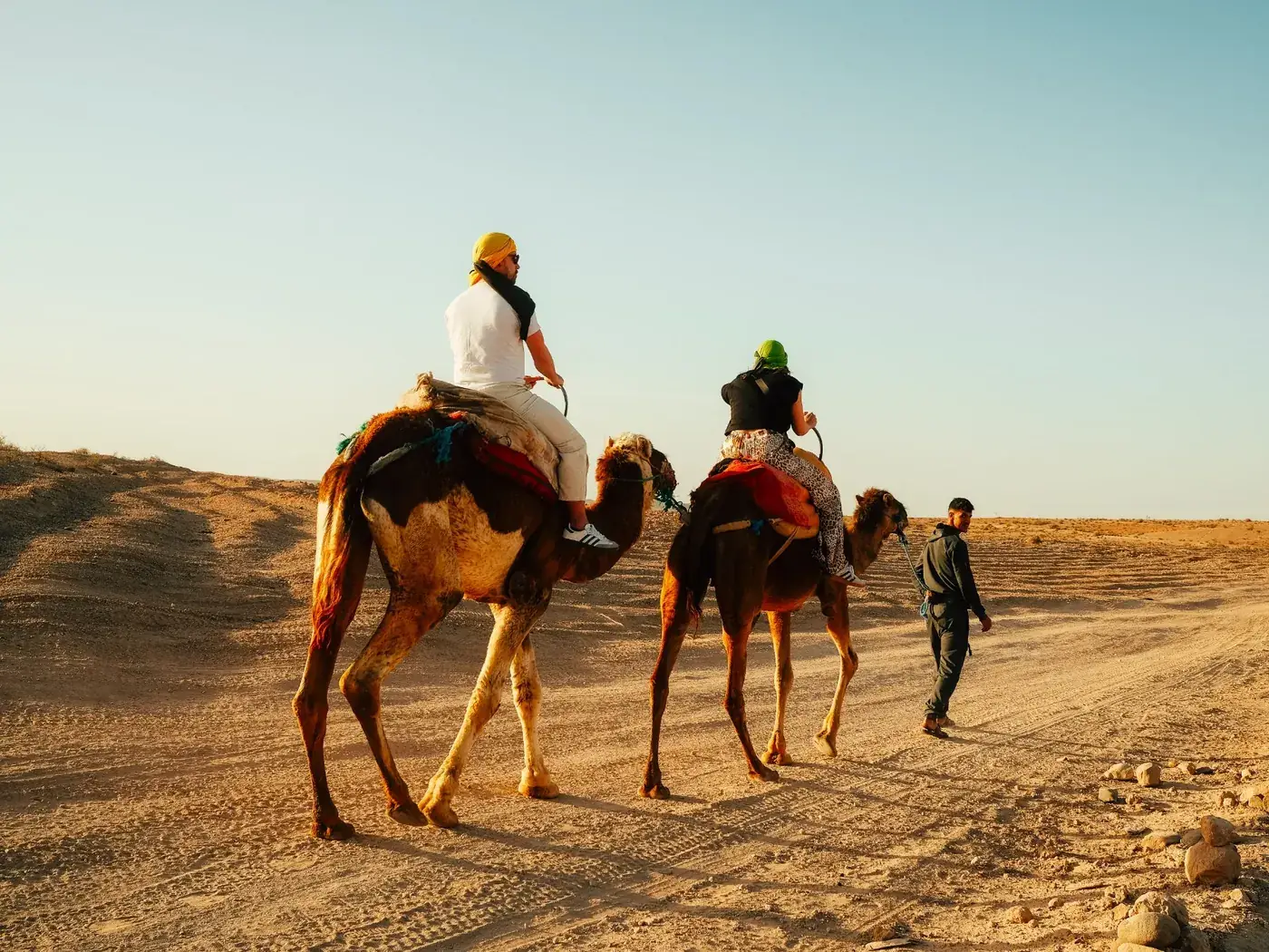 Voyageurs à dos de dromadaire guidés par un Marocain